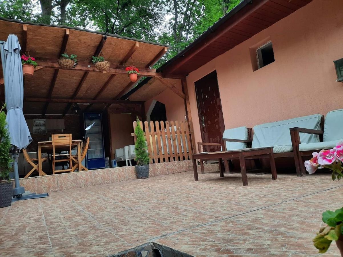 Casa De Vacanta Emd Ieşelniţa 外观 照片