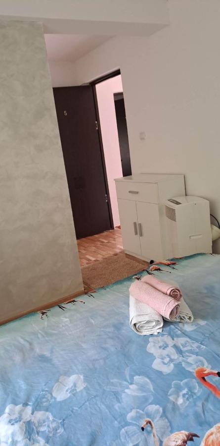 Casa De Vacanta Emd Ieşelniţa 外观 照片
