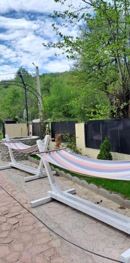 Casa De Vacanta Emd Ieşelniţa 外观 照片