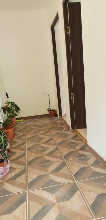 Casa De Vacanta Emd Ieşelniţa 外观 照片